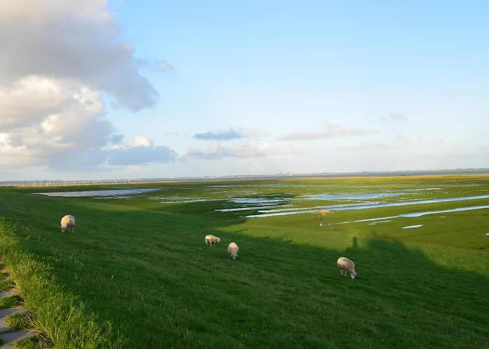 Ferienhaeuser Ella Walter