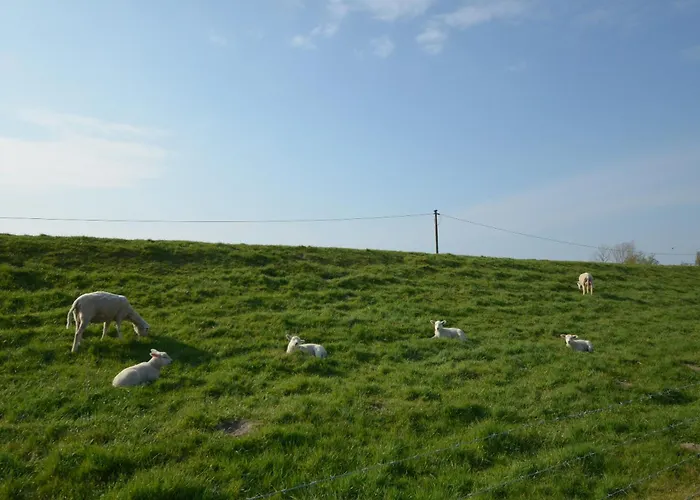 Ferienhaeuser Ella Walter