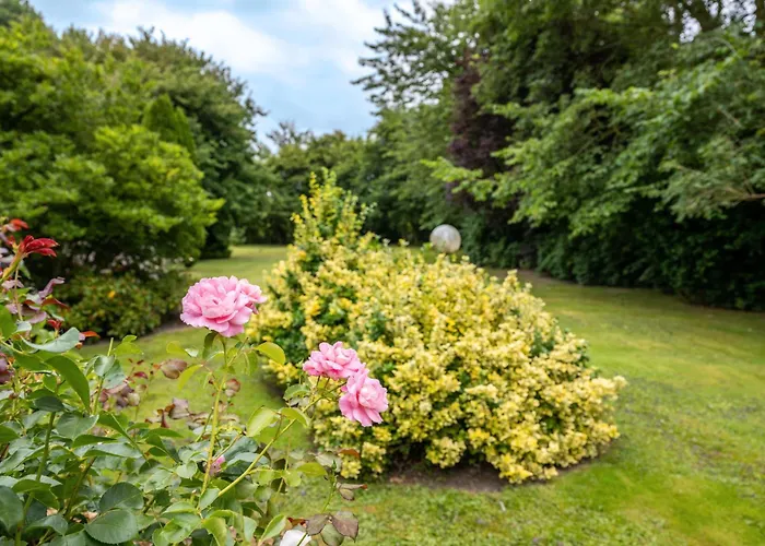 Ferienhaeuser Ella Walter Nordstrand